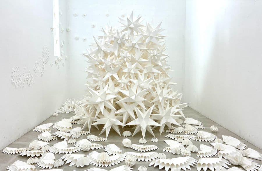 白 <最終章>　2025